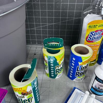 Bucket of Cleaning items plus pet clean up too
