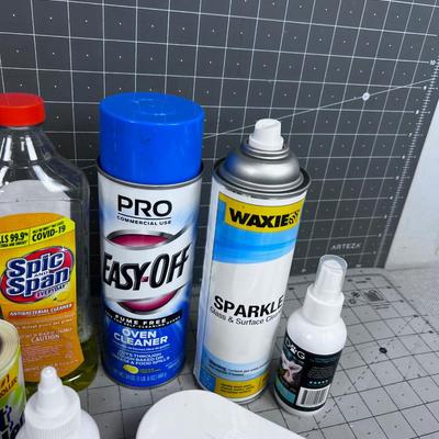 Bucket of Cleaning items plus pet clean up too