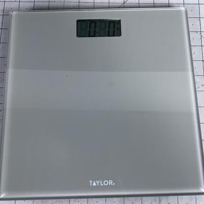 Taylor Digital Scale 