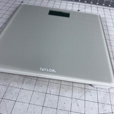 Taylor Digital Scale 