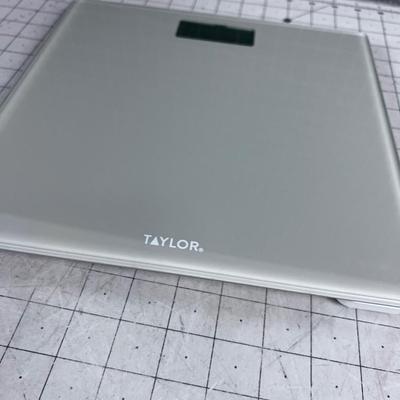 Taylor Digital Scale 