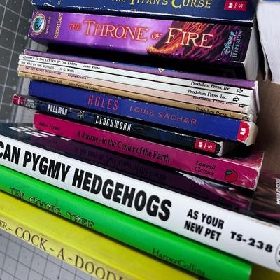 BOOKS: Young Adult, Informational, Fantasy 