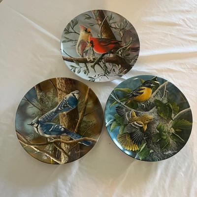Framed Bird Art & Knowles Collectible Plates (E-MG)