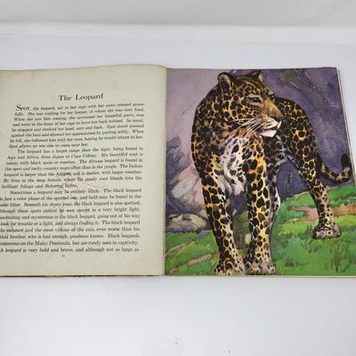 Various Vintage Children's Hardback Books (3)