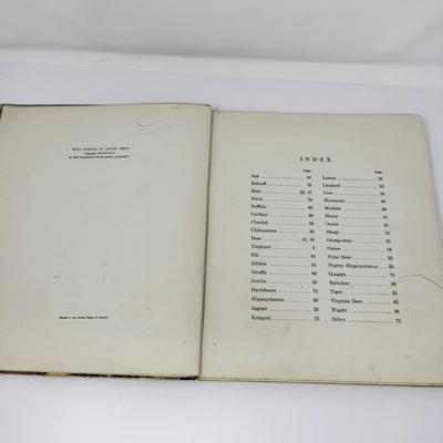 Various Vintage Children's Hardback Books (3)
