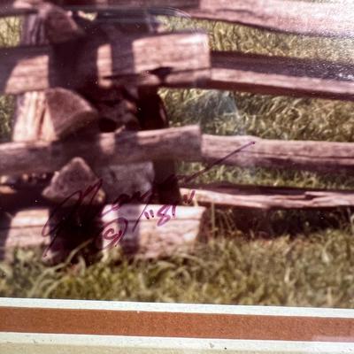 Signed J. Grayson Photography & More (BS-MK)