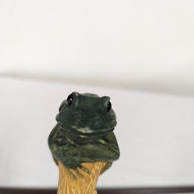 Walking Sticks Frog Top