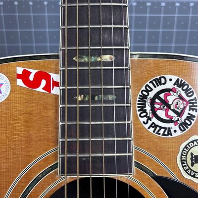 VIVI Acoustical Guitar 