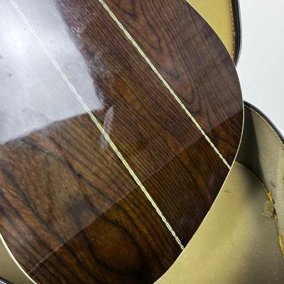 VIVI Acoustical Guitar 