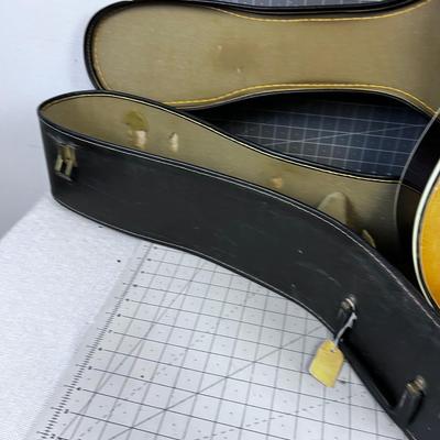 VIVI Acoustical Guitar 