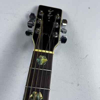 VIVI Acoustical Guitar 