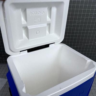 Igloo 24 Can With Handle and Wheels 