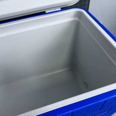 Blue Coleman Cooler 