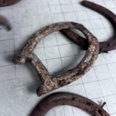 Basket of LUCKY Horse Shoes (5) 