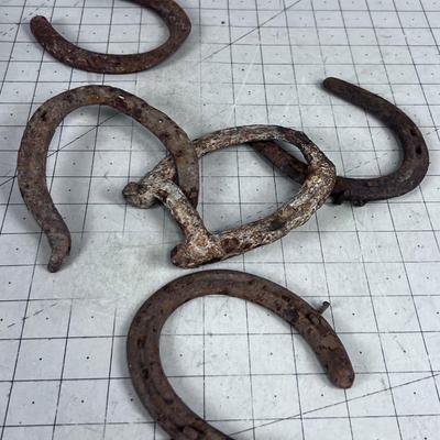 Basket of LUCKY Horse Shoes (5) 