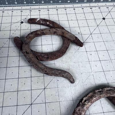 Basket of LUCKY Horse Shoes (5) 