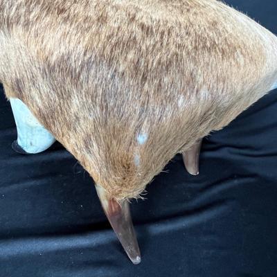 Horn & cow hide stool