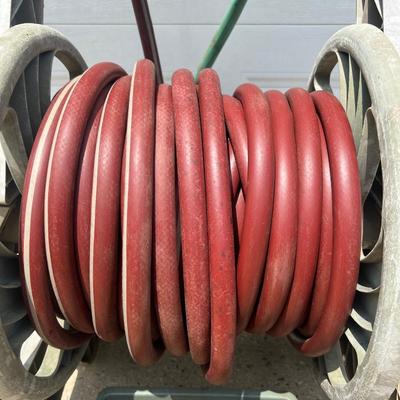 100ft. Hose with Reel