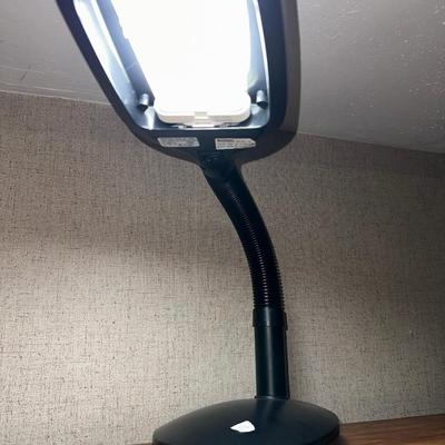 Computer lamp