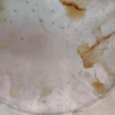 Presto Pressure Cooker