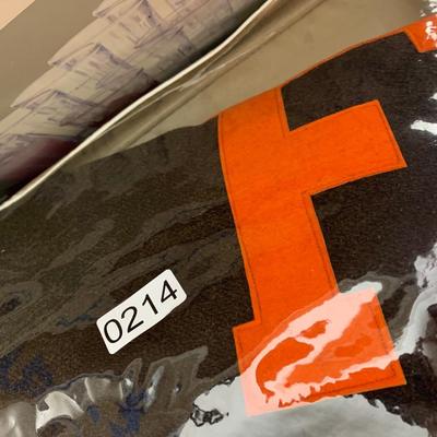 Vintage University of Florida Stadium Blanket