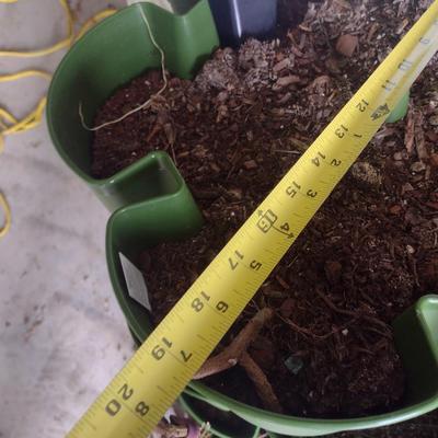 Stackable Planter Trays Collection Green Stalk Brand with Wheeled Flat Dollies, Buckets, and More (MB)