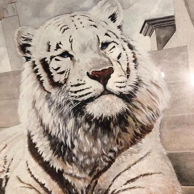 Framed Print of a White Tiger in the Garden, Signed Berry