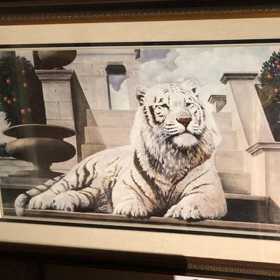 Framed Print of a White Tiger in the Garden, Signed Berry