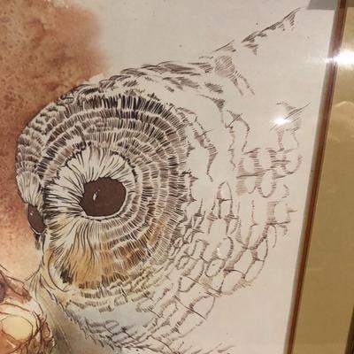 Framed Print of "Secret of the Night" by Bert Seabourn