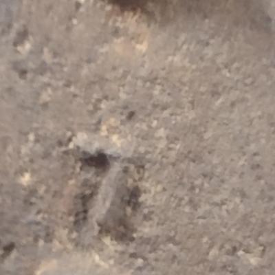 Antique #7 Cast Sad Iron