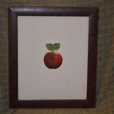Framed & Matted Still Life Red Apple Print Signed & Numbered 28”x24”