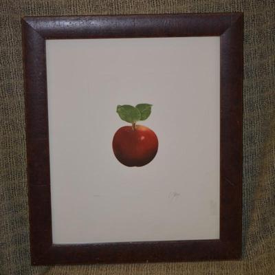 Framed & Matted Still Life Red Apple Print Signed & Numbered 28”x24”
