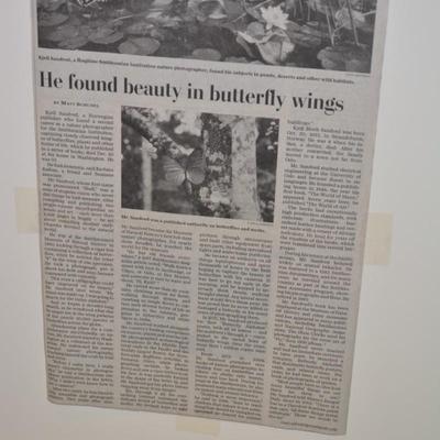 Kjell Sandved “Butterfly Alphabet” Framed Lithograph Print/Poster 27.25”x20.75”