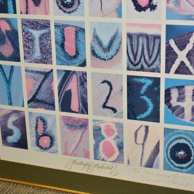 Kjell Sandved “Butterfly Alphabet” Framed Lithograph Print/Poster 27.25”x20.75”