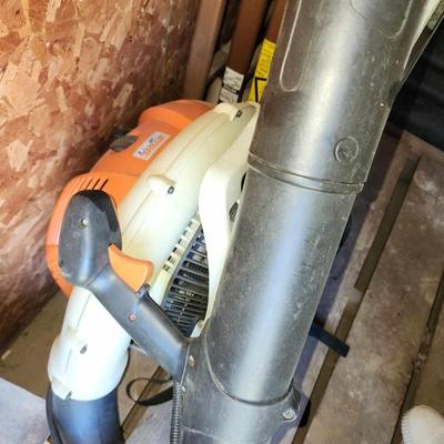 Large leaf blower