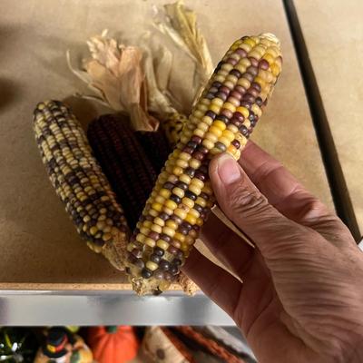 Seasonal Holiday Decor (BS-RG)