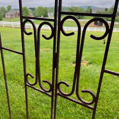 Wrought Iron Corner Shelf Unit & Trellis (OY-RG)