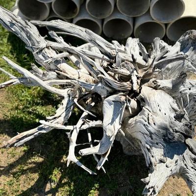 204 Large Driftwood Tree Stump Base