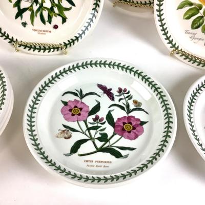 226 Set of Nine Portmeirion "Botanic Garden" 10.5"Dia Dinner Plates