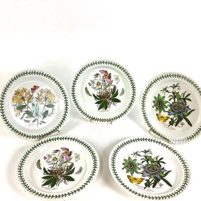 229 Five Vintage Portmeirion "Botanic Garden" Dinner Plates