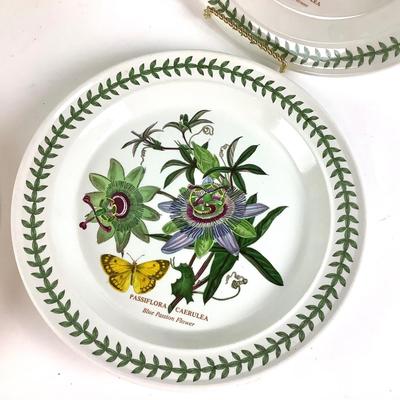 229 Five Vintage Portmeirion "Botanic Garden" Dinner Plates