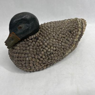 Seashell Duck
