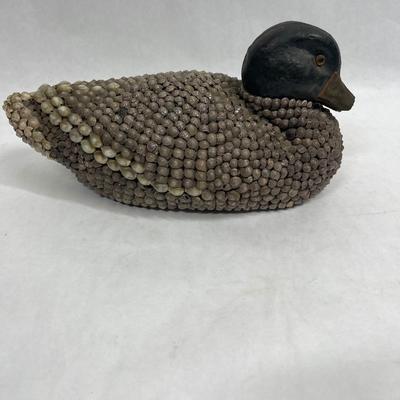 Seashell Duck