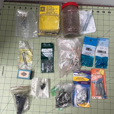 Pack of Bolt Nuts & Screws in Different Sizes