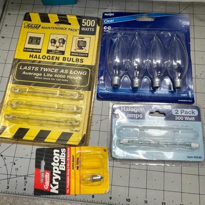 Different Types Of Bulbs