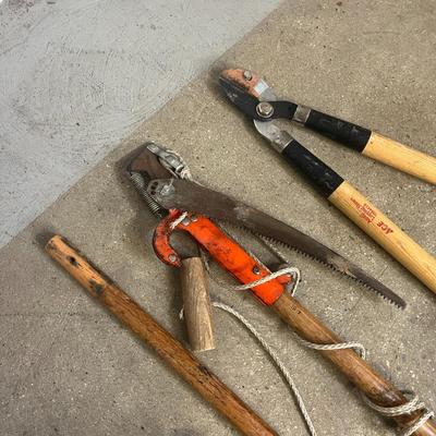 Gardening Clippers and Tree Saw