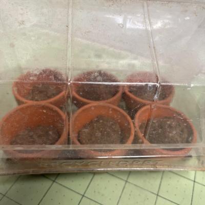 Garden Products and Accessories