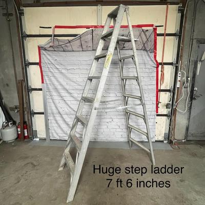 Huge Step Ladder