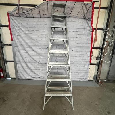 Huge Step Ladder