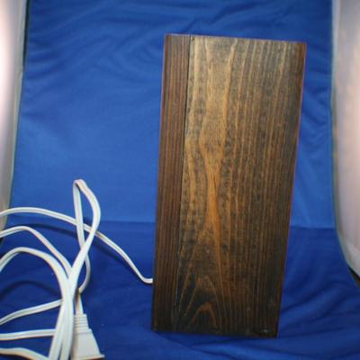 Wooden Electric Redskins Lamp 